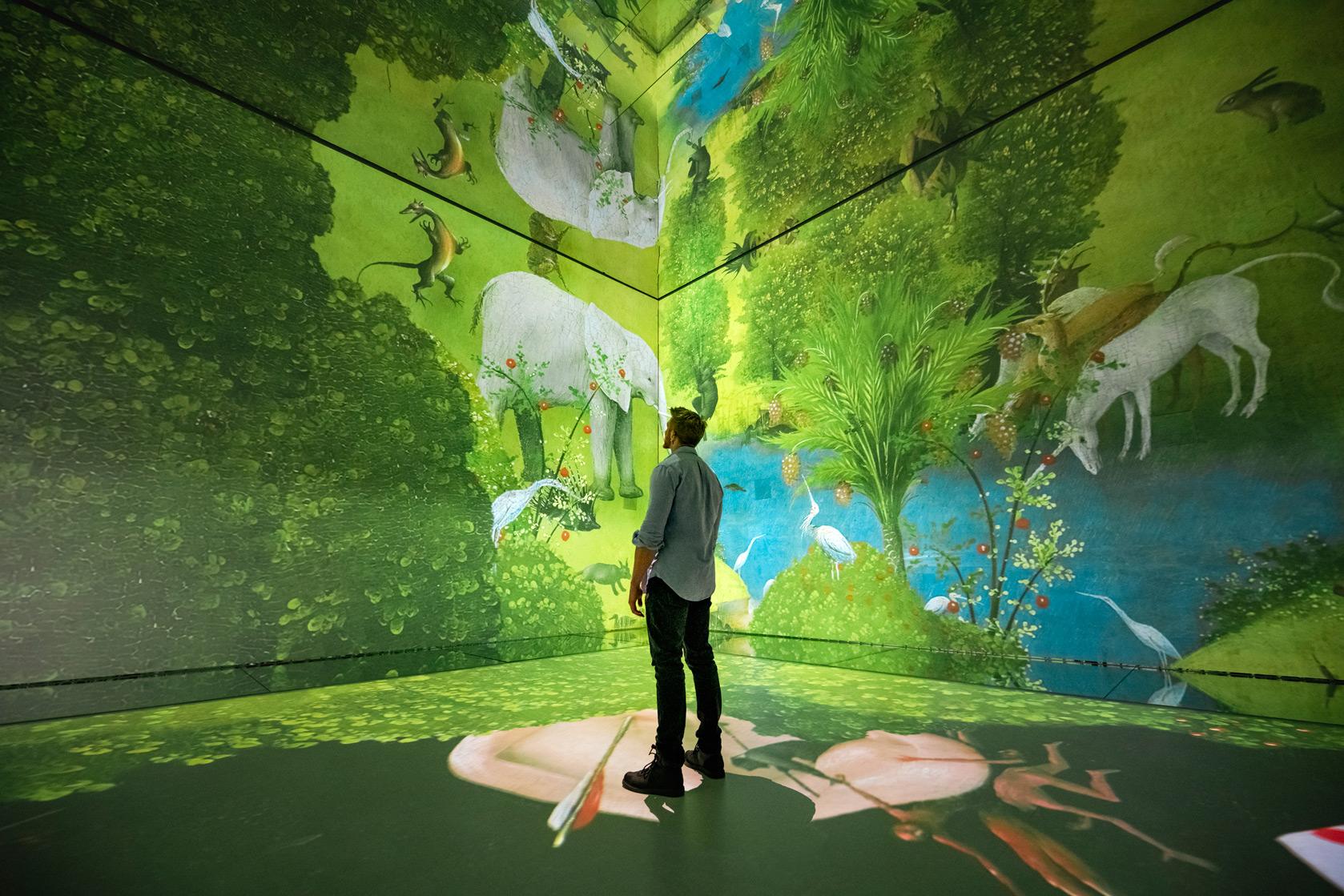 Exploring the Power of Immersive Environments for Language Acquisition